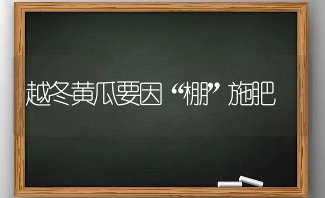 越冬黄瓜要因“棚”施肥 | 种植肥料施肥