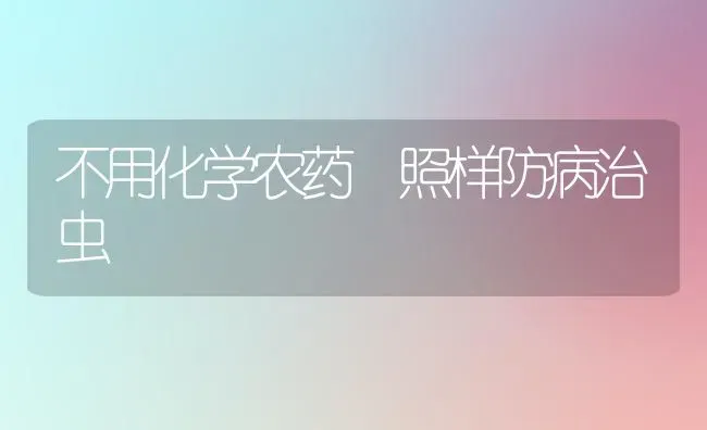 不用化学农药 照样防病治虫 | 种植病虫害防治