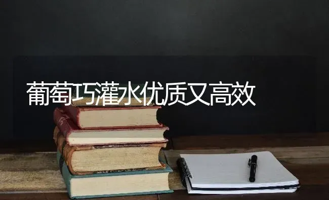 葡萄巧灌水优质又高效 | 瓜果种植