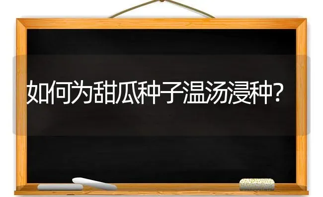 如何为甜瓜种子温汤浸种？ | 瓜果种植
