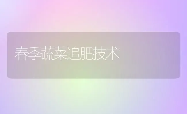 春季蔬菜追肥技术 | 蔬菜种植