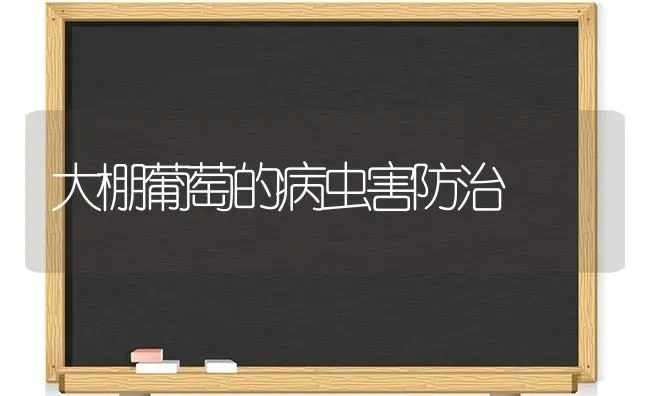 大棚葡萄的病虫害防治 | 种植病虫害防治