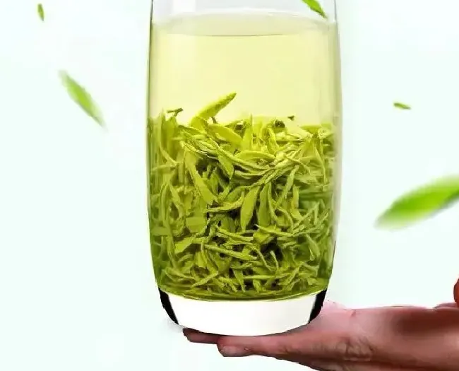 食用常识|甘露茶属于什么茶叶类型