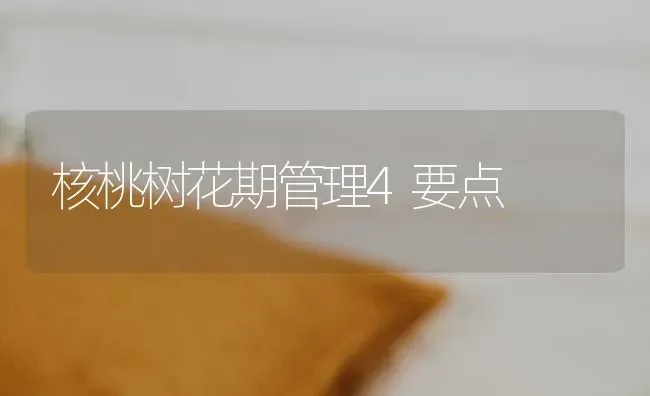 核桃树花期管理4要点 | 瓜果种植