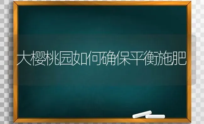 大樱桃园如何确保平衡施肥 | 种植肥料施肥