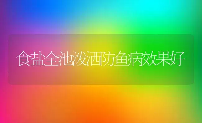 食盐全池泼洒防鱼病效果好 | 瓜果种植