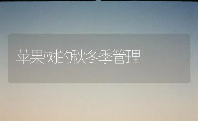 苹果树的秋冬季管理 | 瓜果种植