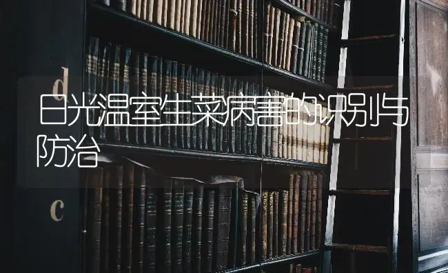 日光温室生菜病害的识别与防治 | 蔬菜种植