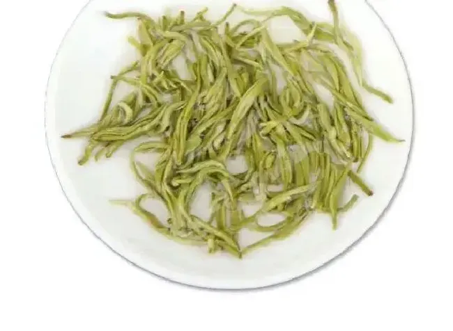 食用常识|甘露茶属于什么茶叶类型