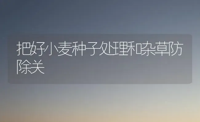 把好小麦种子处理和杂草防除关 | 粮油作物种植