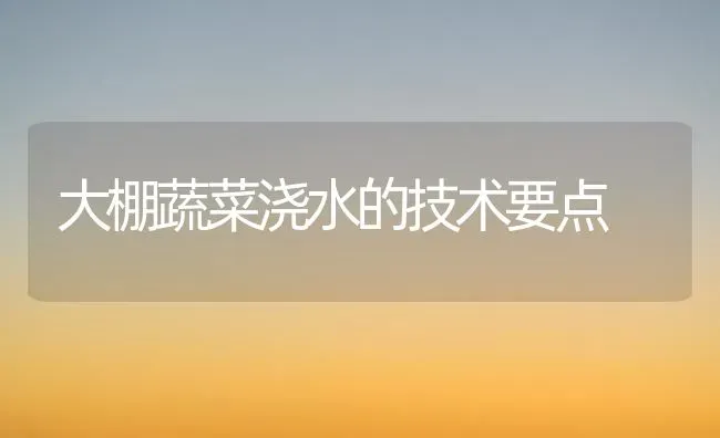 大棚蔬菜浇水的技术要点 | 蔬菜种植
