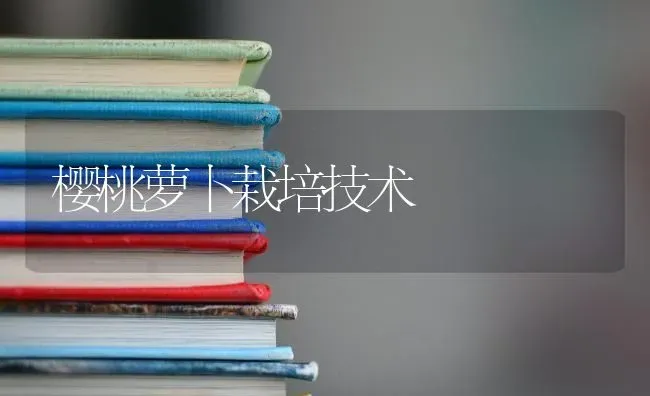 樱桃萝卜栽培技术 | 瓜果种植