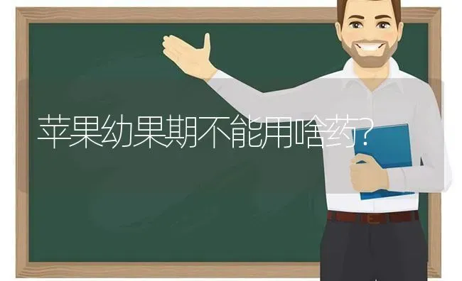 苹果幼果期不能用啥药？ | 瓜果种植