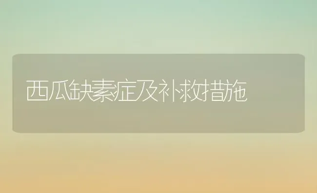 西瓜缺素症及补救措施 | 瓜果种植