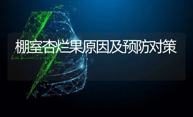 棚室杏烂果原因及预防对策 | 瓜果种植