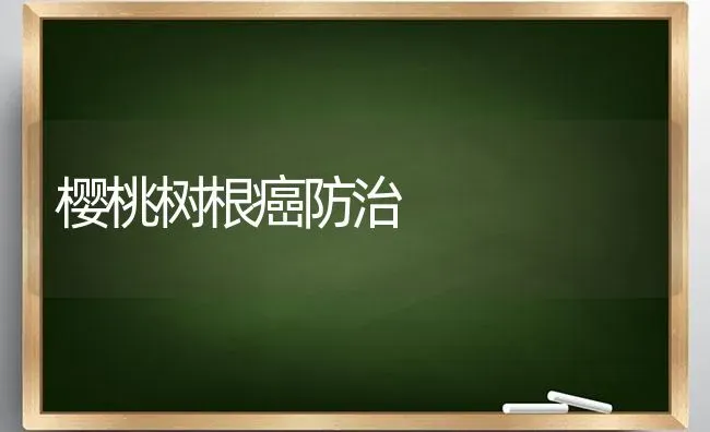 樱桃树根癌防治 | 瓜果种植