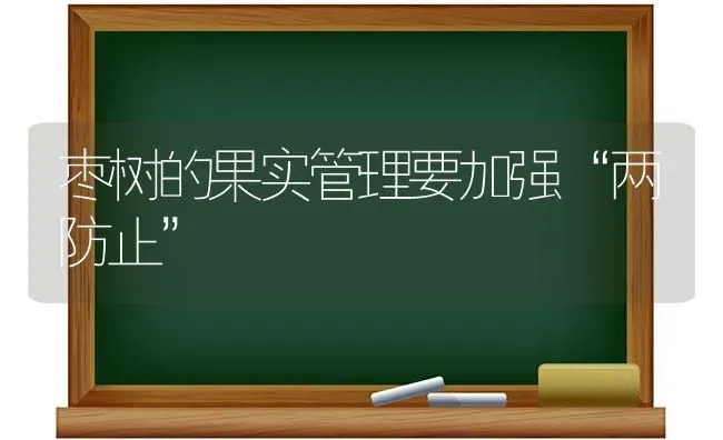 枣树的果实管理要加强“两防止” | 瓜果种植