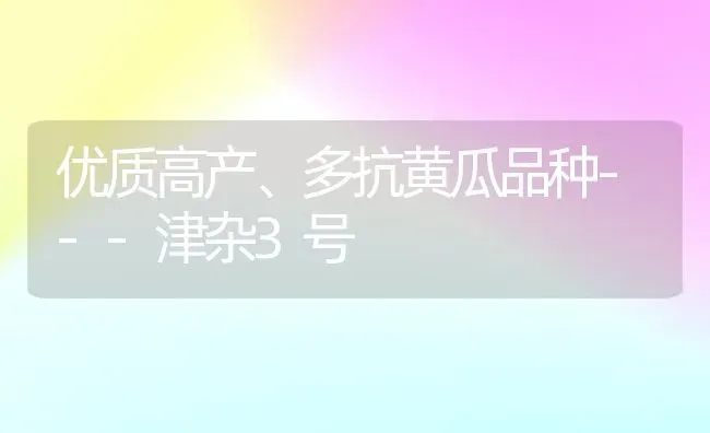 优质高产、多抗黄瓜品种---津杂3号 | 蔬菜种植