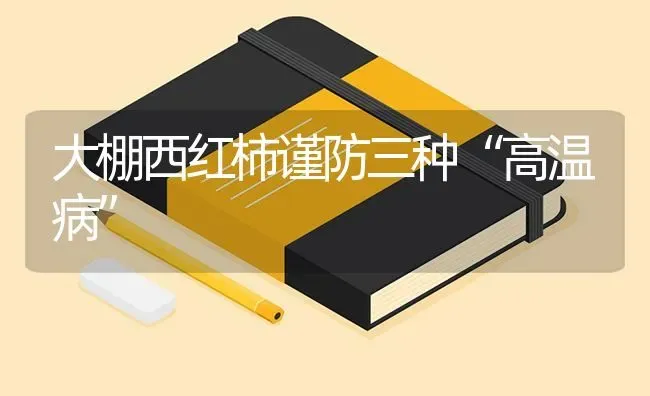 大棚西红柿谨防三种“高温病” | 蔬菜种植