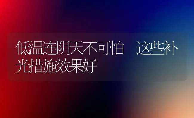 低温连阴天不可怕 这些补光措施效果好 | 瓜果种植