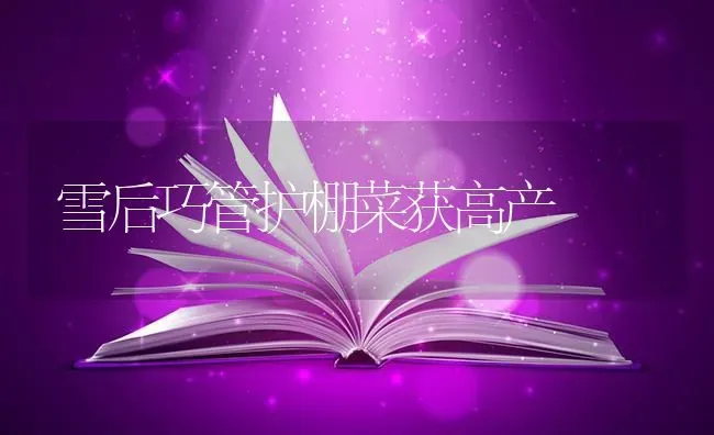 雪后巧管护棚菜获高产 | 蔬菜种植