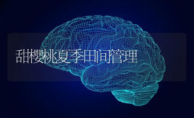 甜樱桃夏季田间管理 | 瓜果种植