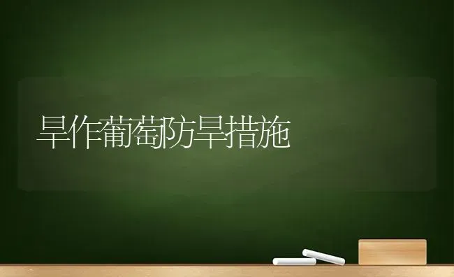 旱作葡萄防旱措施 | 瓜果种植