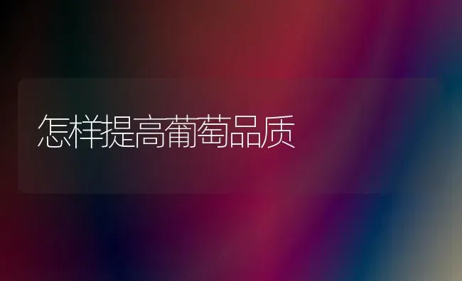 怎样提高葡萄品质 | 瓜果种植