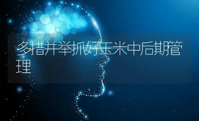多措并举抓好玉米中后期管理 | 粮油作物种植