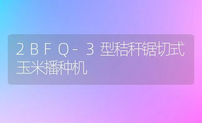 2BFQ-3型秸秆锯切式玉米播种机 | 粮油作物种植