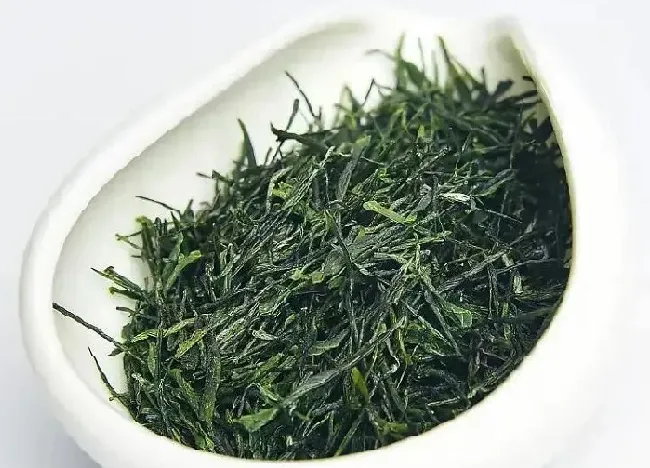 食用常识|富硒茶属于什么茶类等级