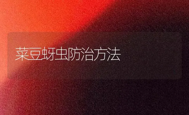 菜豆蚜虫防治方法 | 蔬菜种植