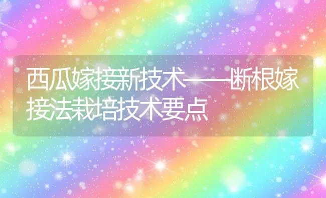 西瓜嫁接新技术——断根嫁接法栽培技术要点 | 瓜果种植