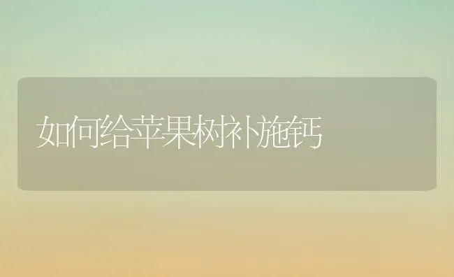 如何给苹果树补施钙 | 瓜果种植