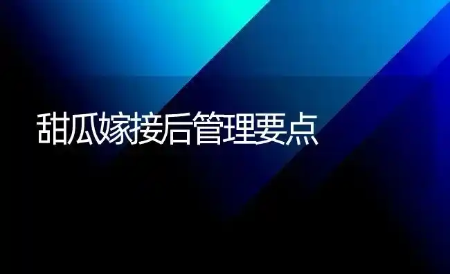 甜瓜嫁接后管理要点 | 瓜果种植