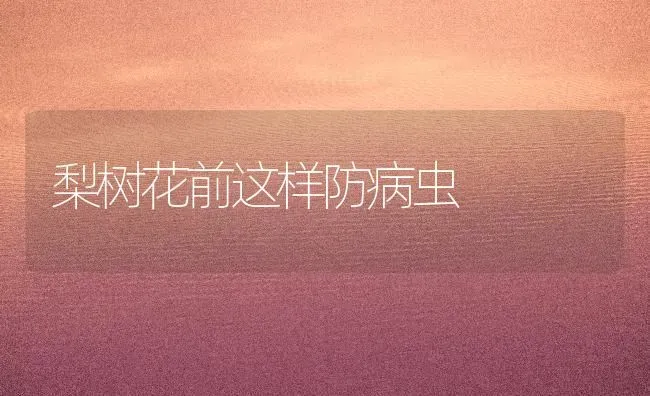梨树花前这样防病虫 | 瓜果种植
