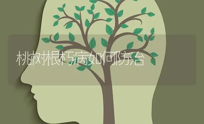 桃树根朽病如何防治 | 瓜果种植