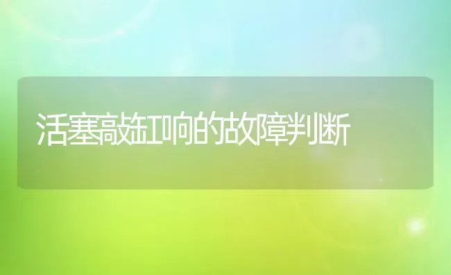 早春西瓜、秋延西瓜、菠菜一年三熟种植模式 | 植物种植百科