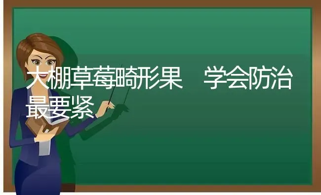 大棚草莓畸形果 学会防治最要紧 | 瓜果种植