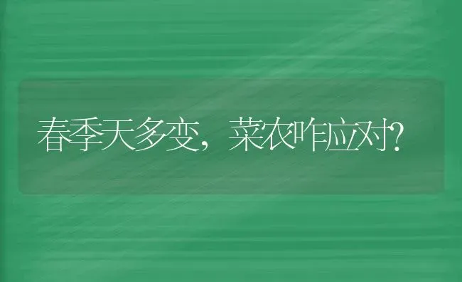 春季天多变，菜农咋应对？ | 蔬菜种植