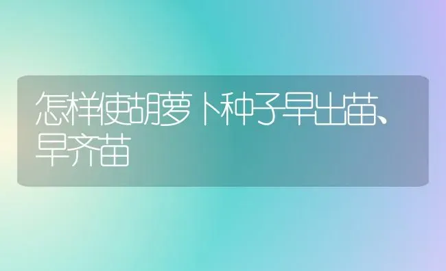 怎样使胡萝卜种子早出苗、早齐苗 | 蔬菜种植