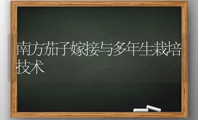 南方茄子嫁接与多年生栽培技术 | 蔬菜种植