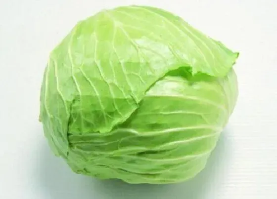 食用科普|甘蓝菜可以生吃吗