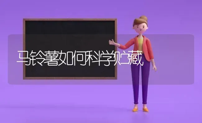 马铃薯如何科学贮藏 | 粮油作物种植