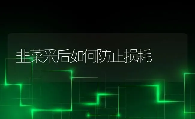 韭菜采后如何防止损耗 | 蔬菜种植