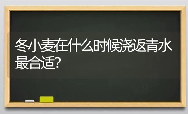 冬小麦在什么时候浇返青水最合适？ | 粮油作物种植