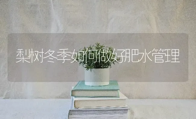 梨树冬季如何做好肥水管理 | 瓜果种植