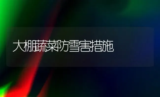 大棚蔬菜防雪害措施 | 蔬菜种植