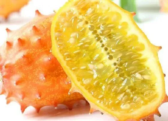 食用技巧|火参果怎么挑选好吃的