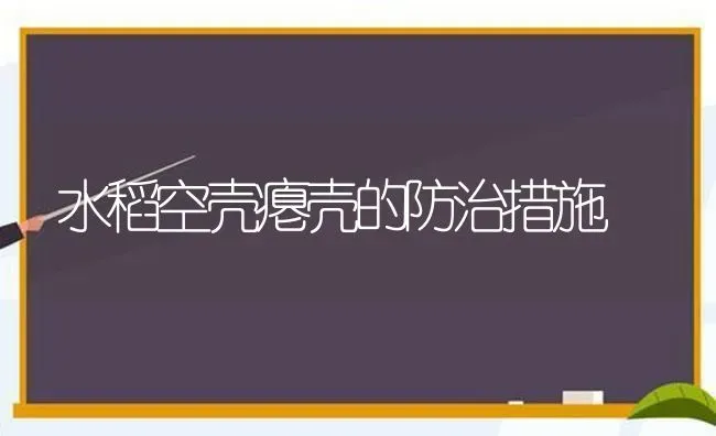 水稻空壳瘪壳的防治措施 | 粮油作物种植